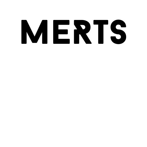 Copia di merts music production (1)